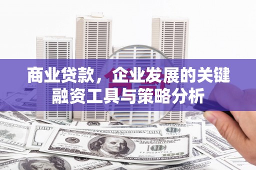 利通商业贷款，企业发展的关键融资工具与策略分析