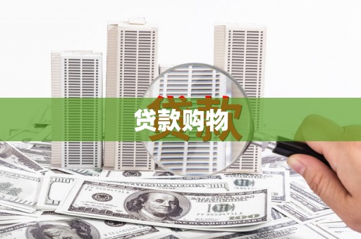 利通贷款购物