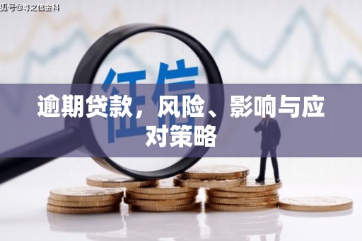 利通逾期贷款，风险、影响与应对策略