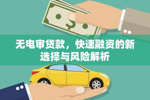 利通无电审贷款，快速融资的新选择与风险解析
