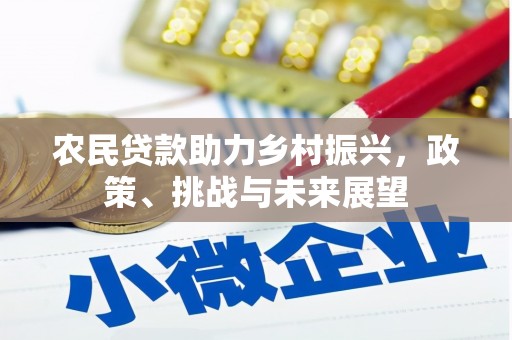 利通农民贷款助力乡村振兴，政策、挑战与未来展望