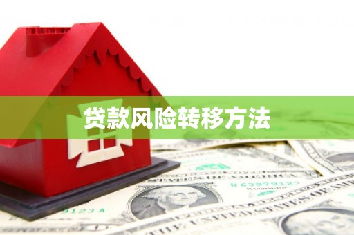利通贷款风险转移方法