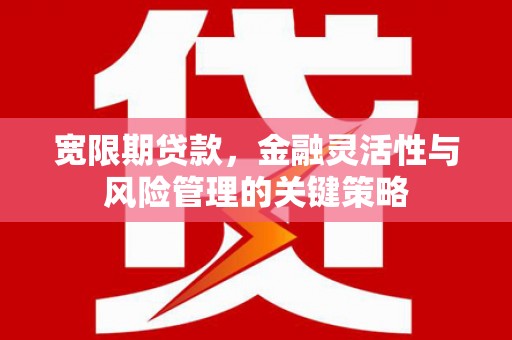 利通宽限期贷款，金融灵活性与风险管理的关键策略