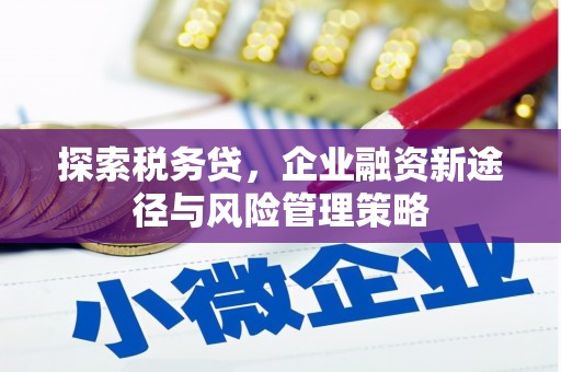 利通探索税务贷，企业融资新途径与风险管理策略