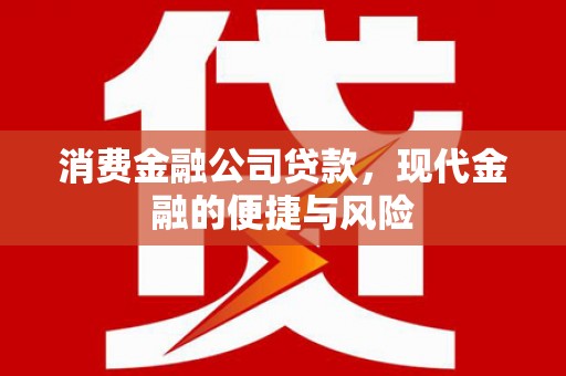 利通消费金融公司贷款，现代金融的便捷与风险