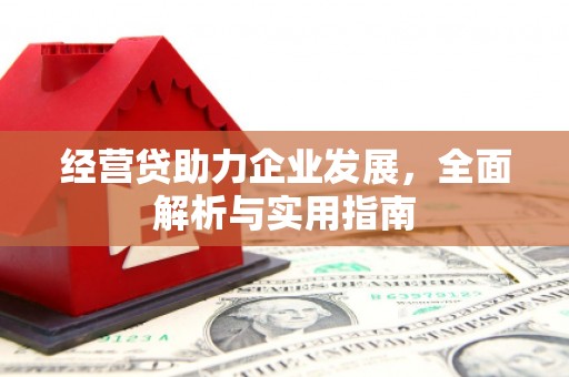 利通经营贷助力企业发展，全面解析与实用指南