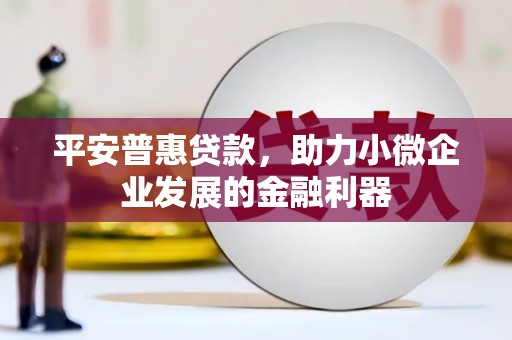 利通平安普惠贷款，助力小微企业发展的金融利器