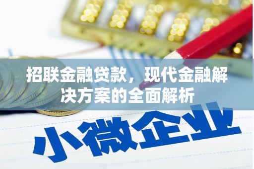 利通招联金融贷款，现代金融解决方案的全面解析