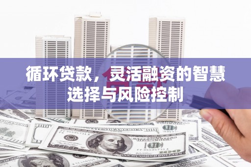 利通循环贷款，灵活融资的智慧选择与风险控制