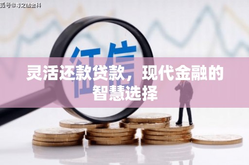 利通灵活还款贷款，现代金融的智慧选择