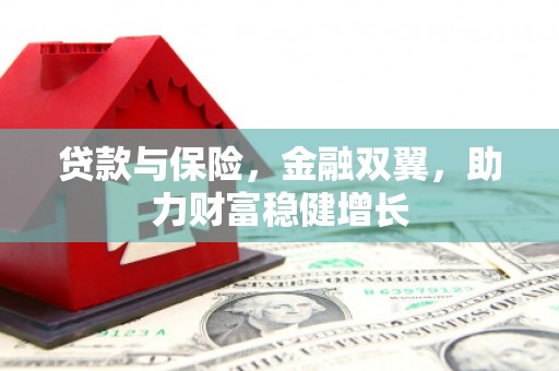 利通贷款与保险，金融双翼，助力财富稳健增长