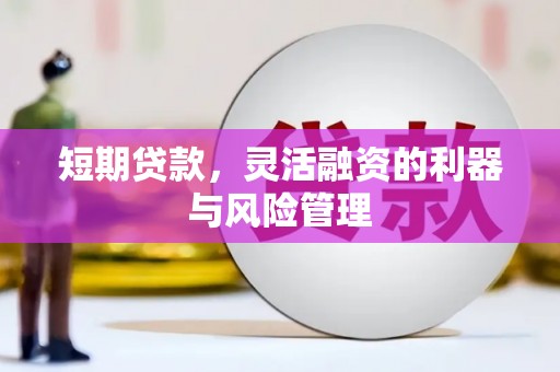 利通短期贷款，灵活融资的利器与风险管理