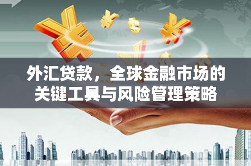 利通外汇贷款，全球金融市场的关键工具与风险管理策略