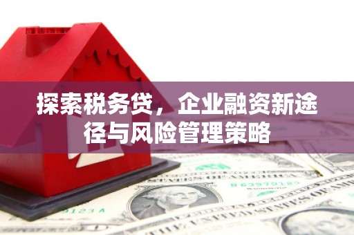 利通探索税务贷，企业融资新途径与风险管理策略