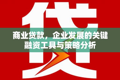 利通商业贷款，企业发展的关键融资工具与策略分析