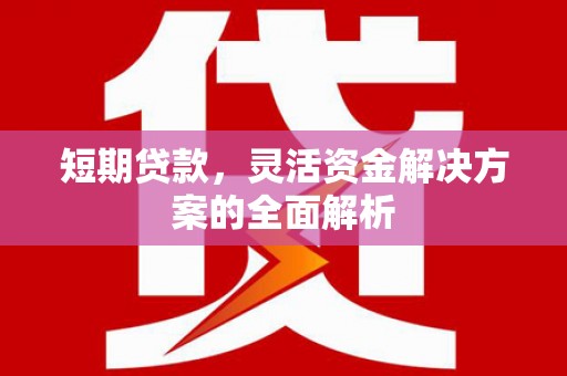 利通短期贷款，灵活资金解决方案的全面解析