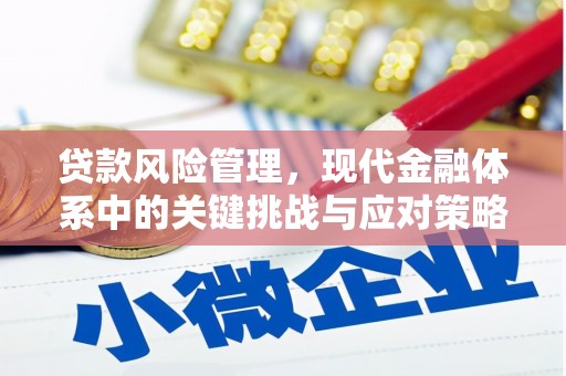 利通贷款风险管理，现代金融体系中的关键挑战与应对策略