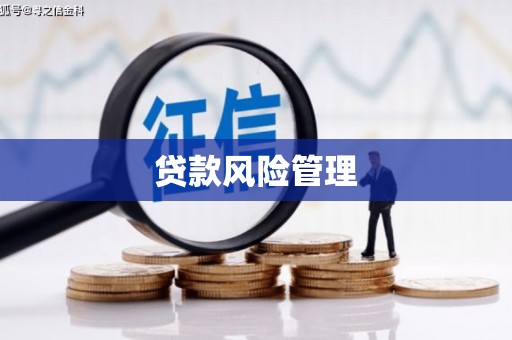 利通贷款风险管理