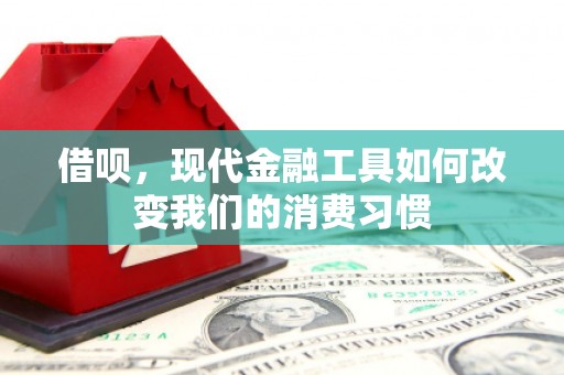 利通借呗，现代金融工具如何改变我们的消费习惯