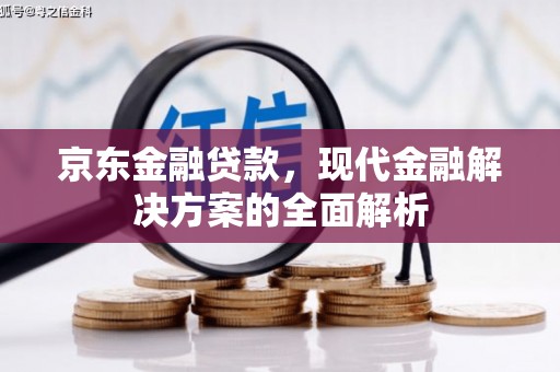 利通京东金融贷款，现代金融解决方案的全面解析
