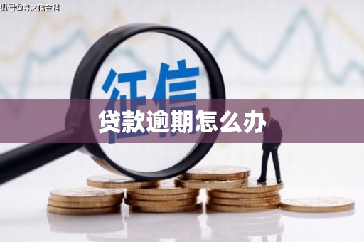 利通贷款逾期怎么办