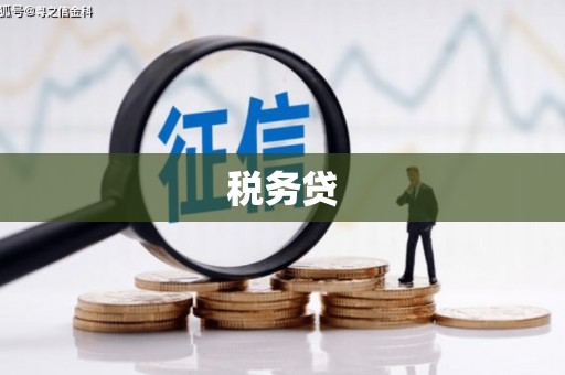 利通税务贷