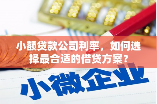 利通小额贷款公司利率，如何选择最合适的借贷方案？