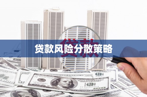 利通贷款风险分散策略