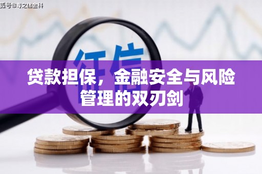 利通贷款担保，金融安全与风险管理的双刃剑