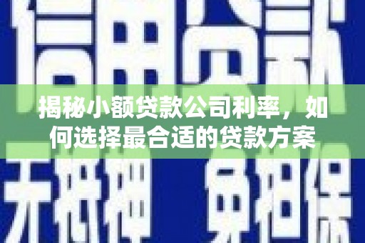利通揭秘小额贷款公司利率，如何选择最合适的贷款方案