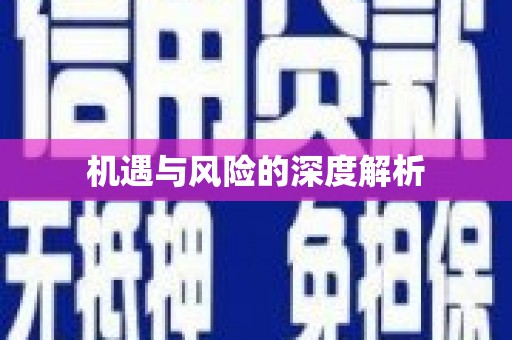 利通机遇与风险的深度解析