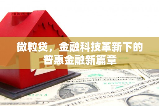 利通微粒贷，金融科技革新下的普惠金融新篇章