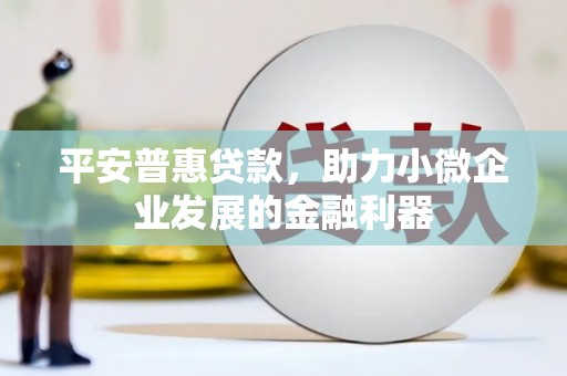 利通平安普惠贷款，助力小微企业发展的金融利器