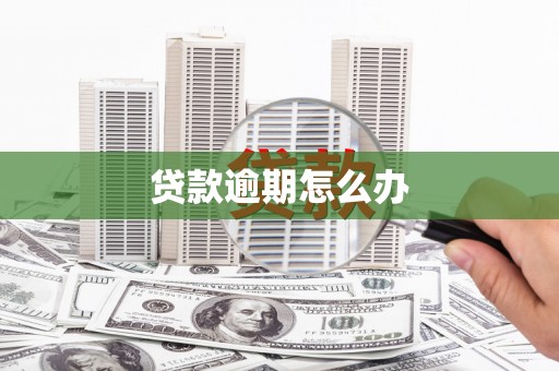 利通贷款逾期怎么办