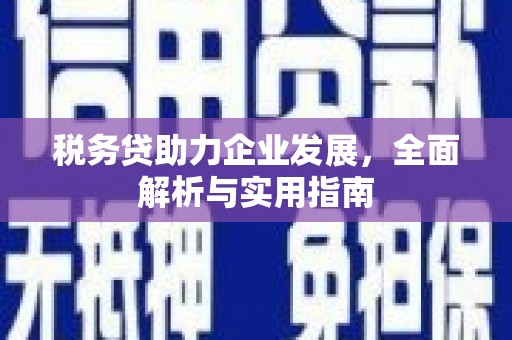 利通税务贷助力企业发展，全面解析与实用指南