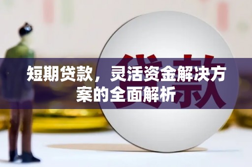 利通短期贷款，灵活资金解决方案的全面解析