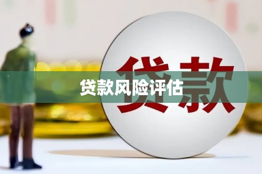 利通贷款风险评估