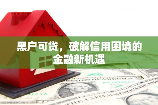 利通黑户可贷，破解信用困境的金融新机遇