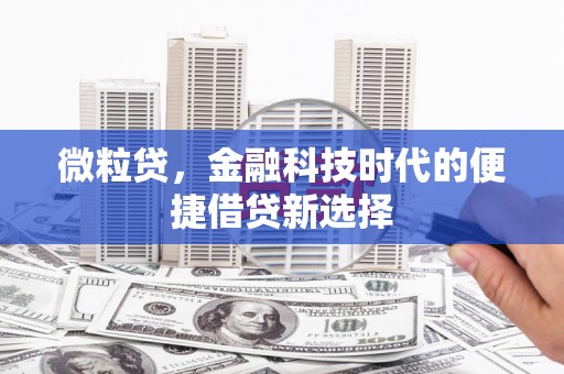 利通微粒贷，金融科技时代的便捷借贷新选择