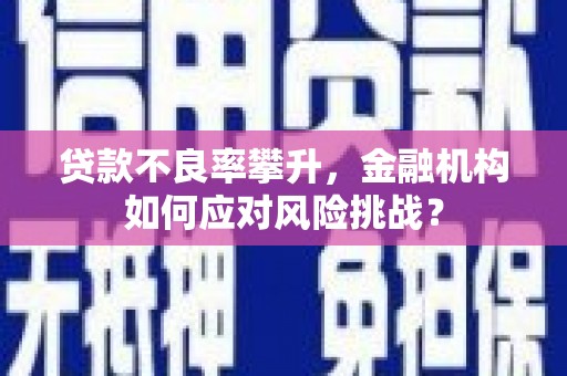 利通贷款不良率攀升，金融机构如何应对风险挑战？