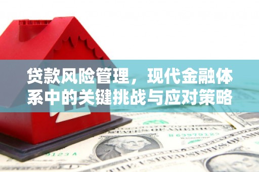 利通贷款风险管理，现代金融体系中的关键挑战与应对策略