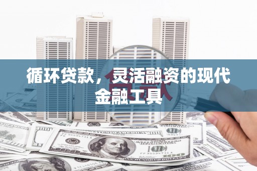利通循环贷款，灵活融资的现代金融工具