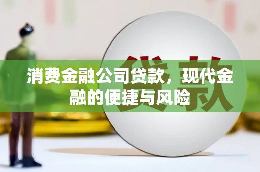 利通消费金融公司贷款，现代金融的便捷与风险