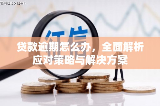 利通贷款逾期怎么办，全面解析应对策略与解决方案
