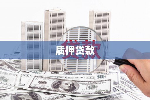 利通质押贷款