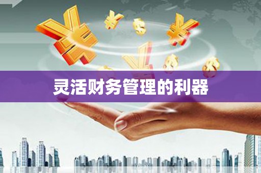 利通灵活财务管理的利器