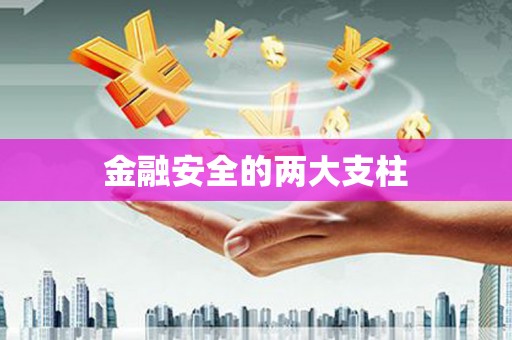 利通金融安全的两大支柱