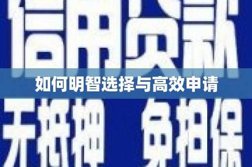 利通如何明智选择与高效申请