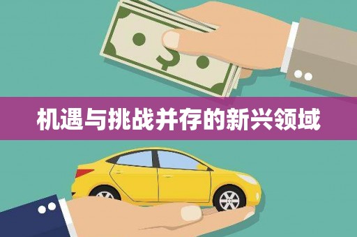 利通机遇与挑战并存的新兴领域