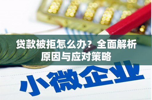 利通贷款被拒怎么办？全面解析原因与应对策略